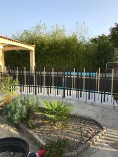 Stem Aléatoire haut